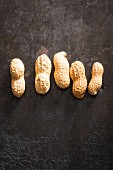 A row of five peanuts
