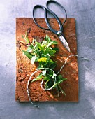 A bunch of herbs and a pair of scissors on a stone platter