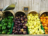 Various types of peppers at a farmers market