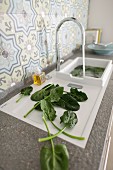 A ceramic sink with a drainer and a natural stone surface with spinach leaves in the foreground