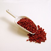 Whole red peppercorns in white scoop