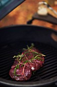 Steak with herbs on a barbecue