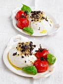 Baked mozzarella with olive crumbs, tomatoes and basil