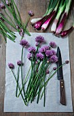 Spring onions and flowering chives