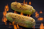 Seasoned corn-on-the-cob on a barbecue