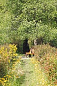 Seating area in summery garden; simple wooden bench below tree