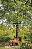 Holzbank um Baum aufgestellt, in sommerlichem Garten