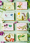 Shortbread biscuits decorated with flower and butterfly motifs