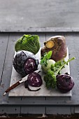A still life featuring assorted cabbages