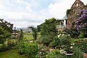 Flowering plants in large garden with partially visible house in background