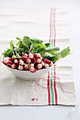 A bunch of radishes in a bowl