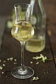 A glass of elderflower liqueur