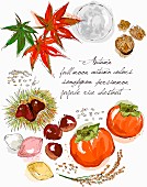 An autumnal arrangement of leaves, nuts, chestnuts and persimmons (illustration)