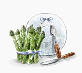An arrangement of green asparagus, a plate and cutlery (illustration)