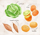 Stillleben mit Salat, Kiwi, Kartoffeln & Süsskartoffeln (Illustration)