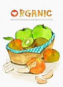 An arrangement of organic fruit (illustration)