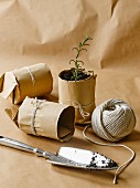 DIY plant pots made from brown paper and string