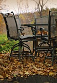 Metallstühle und Tisch auf Herbstlaub im Garten