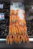 Kaisergranate und Muscheln auf dem Fischmarkt in Bilbao, Baskenland, Spanien