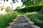 Old stone steps in garden flanked by wild flowers and tall grass