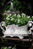 White campanula planted in Art Nouveau planter