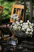 White orchids in antique glass bowl