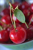 Sour cherries in a ceramic bowl (close-up)