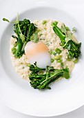 Risotto with broccoli and poached egg