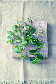 Fresh mint on a wooden board