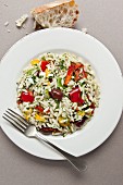 Greek orzo salad with peppers and olives