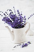 Bouquet of fresh lavender in retro teapot