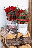 Two arrangements of thuja branches and amaryllis in small flower pots on top of stacked firewood