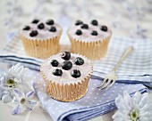 Cupcakes decorated with sugared blueberries