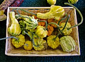 Assorted Autumn Squash in a Basket