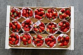 A crate of fresh organic strawberries (seen from above)