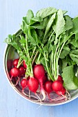 A bowl of radishes