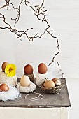 Balls of string, small, simple wicker basket and nest of feathers holding eggs