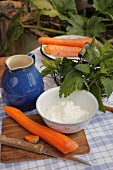 Ingredients for carrot quark