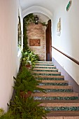Überdachte Aussentreppe der italienischen Villa Cimbrone, auf Stufen Pflanzentöpfe mit Farn