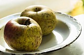 Two Boskop apples on an enamel plate