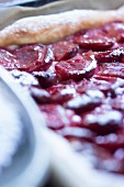 Damson tart dusted with icing sugar