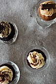 Chocolate cupcakes with cocoa, poppyseeds and hazelnuts