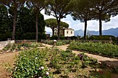 Blick über angelegten Garten in mediterraner Umbebung, im Hintergrund Palazzo (Villa Cimbrone)