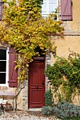Climbing plants on rustic façade of country house with front door and window shutters painted rusty red