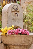 Rosen liegen in Steinbrunnen im Garten