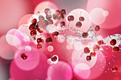 Cherries with a splash of water