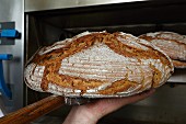 Brot backen in der Bäckerei