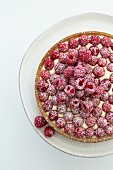 Raspberry tart with vanilla cream and icing sugar