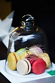 Colourful macaroons under a glass cloche