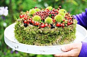 Hand-made ornamental cake made from moss, berries and sweet chestnuts for bird feeding station